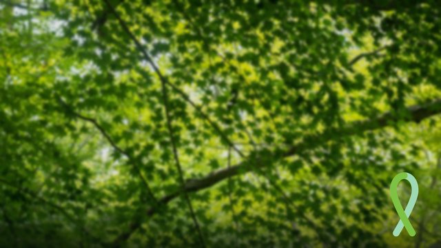 Green canopy photo background with a green ribbon and no text